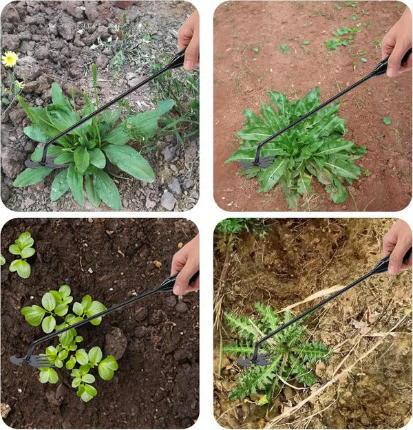 Garten Unkraut Ziehen Werkzeug