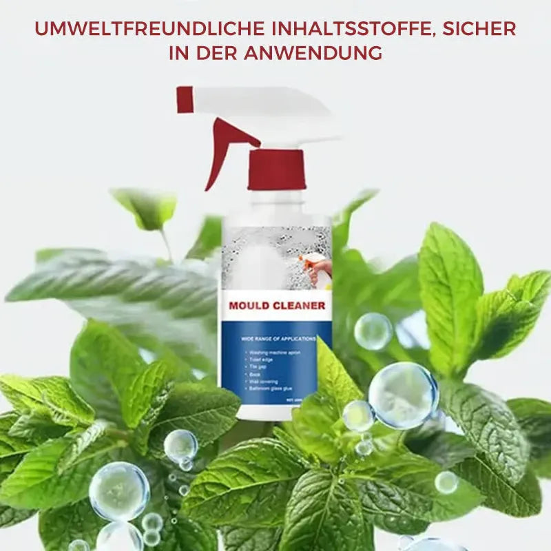 Schimmelreiniger-Schaum